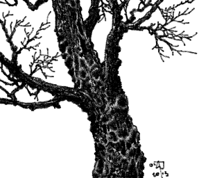 one_crayon_revenge_by_megadas-d66vhww