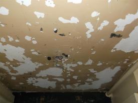 kitchen nightmare (2)