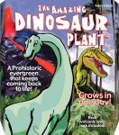 Amazing Dinosaur Plant