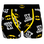 Batman Briefs (Custom)