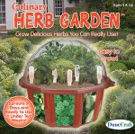 Culinary Herb Garden