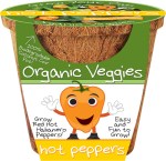 Organic Veggies - Hot Peppers