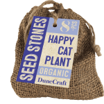 Seed Stones Happy Cat Plant