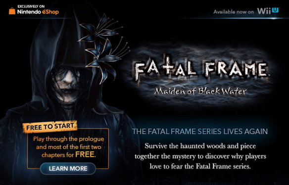 Fatal Frame banner