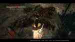 Dragon's Dogma_ Dark Arisen Screenshot_117