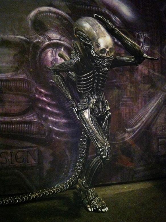 Photo Credit: Desmond Mo