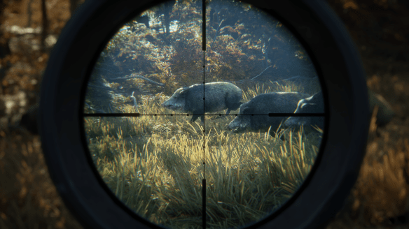 theHunter_screenshot-wild-boars-scope