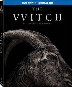 The VVitch