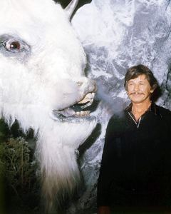 Bronson and Buffalo